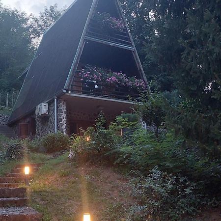 Holiday Home Dragonfly River House On Korana Near Plitvice And Mreznica Barilovic エクステリア 写真