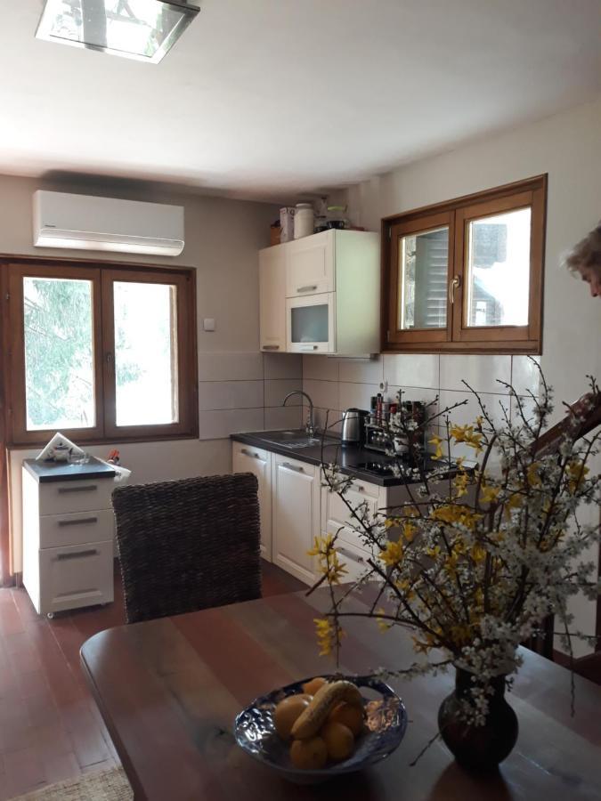 Holiday Home Dragonfly River House On Korana Near Plitvice And Mreznica Barilovic エクステリア 写真